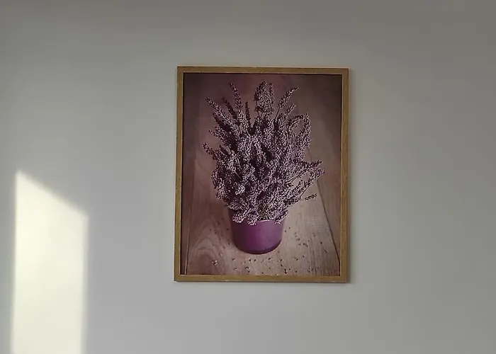 ***santorini Apartament*** - 40m² ✓ * Rybnik (Silesia)